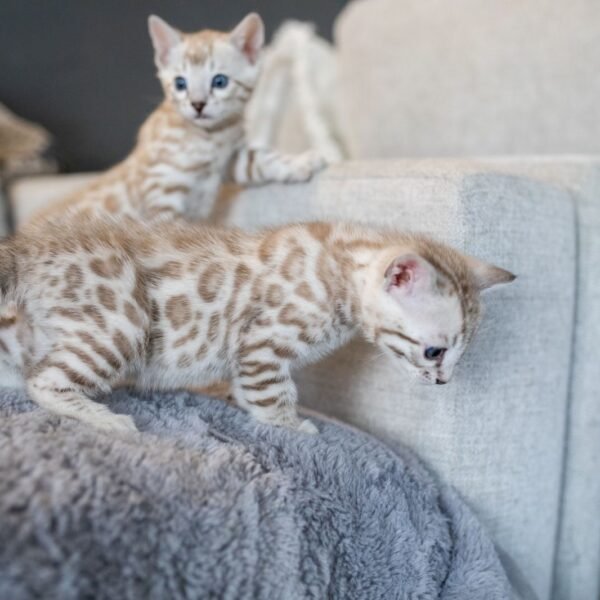 James (Mann) & Jean (Weiblich)